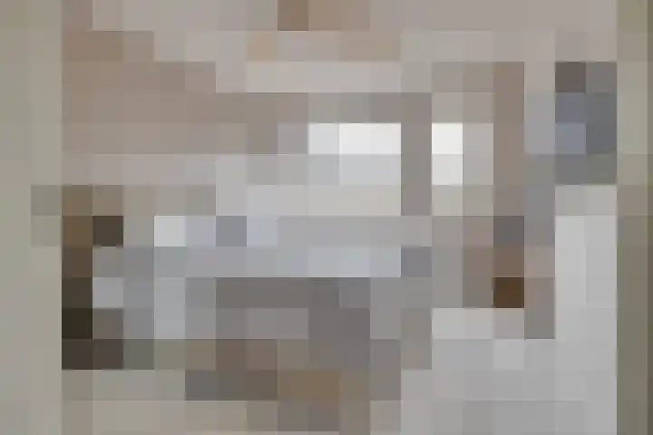 Schaapherder 7 Leusden thumbnail 17