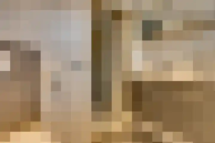Schaapherder 7 Leusden thumbnail 21