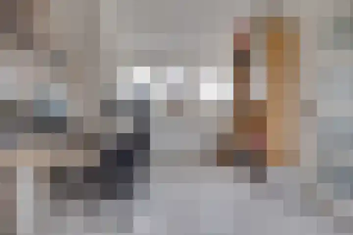 Schaapherder 7 Leusden thumbnail 24