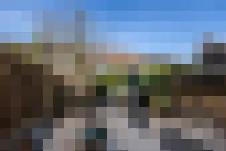 Schaapherder 7 Leusden thumbnail 27