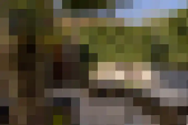 Schaapherder 7 Leusden thumbnail 28