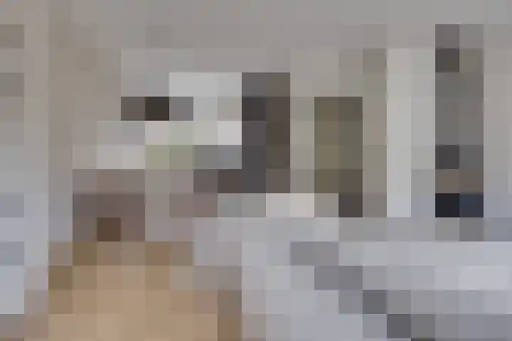 Schaapherder 7 Leusden thumbnail 6