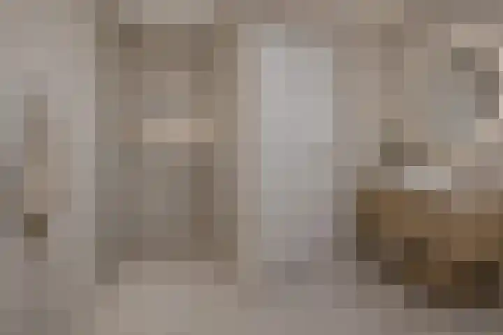 Schaapsdijk 1 a Loosbroek thumbnail 25