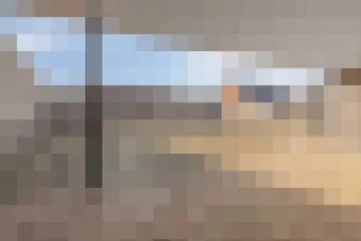 Schaapsdijk 1 a Loosbroek thumbnail 29