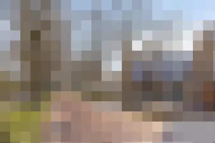 Schaapsdijk 1 a Loosbroek thumbnail 37