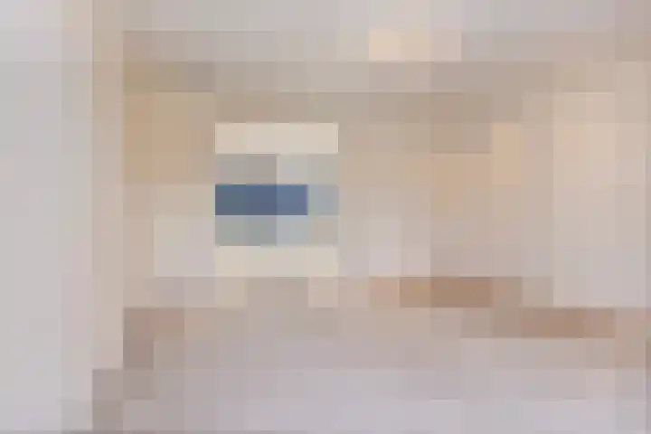 Schaapsdijk 1 a Loosbroek thumbnail 6
