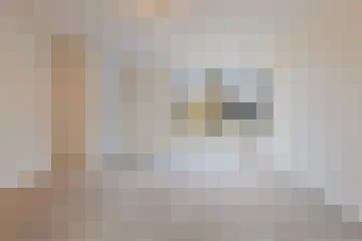 Schaapsdijk 1 a Loosbroek thumbnail 7