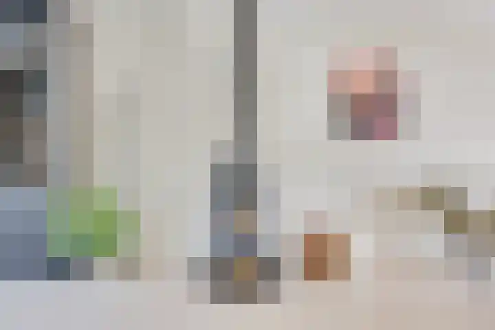Schaapsdreef 4 Den Bommel thumbnail 10