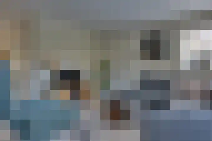 Schaapsdreef 4 Den Bommel thumbnail 15