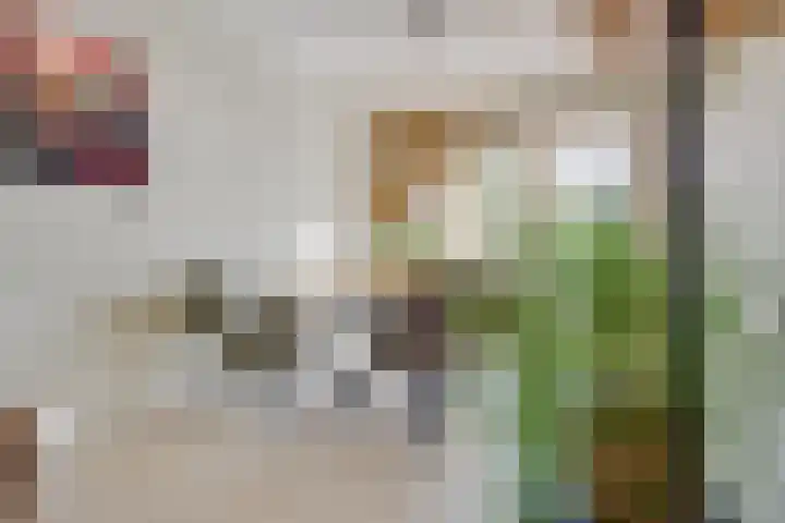 Schaapsdreef 4 Den Bommel thumbnail 19