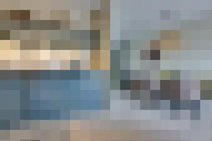 Schaapsdreef 4 Den Bommel thumbnail 23