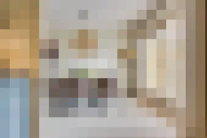 Schaapsdreef 4 Den Bommel thumbnail 25
