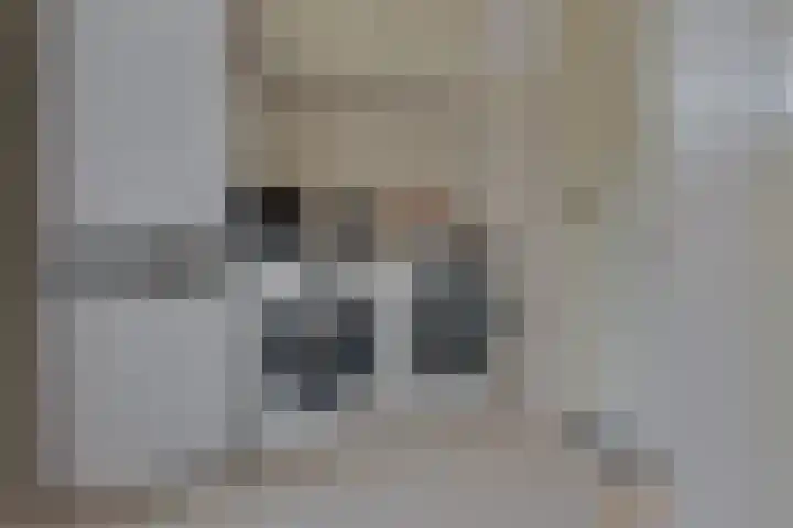 Schaapsdreef 4 Den Bommel thumbnail 28