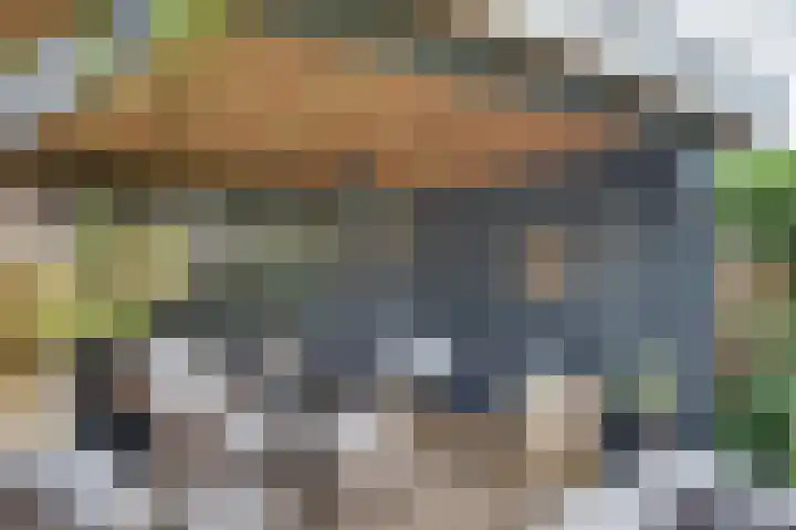 Schaapsdreef 4 Den Bommel thumbnail 39