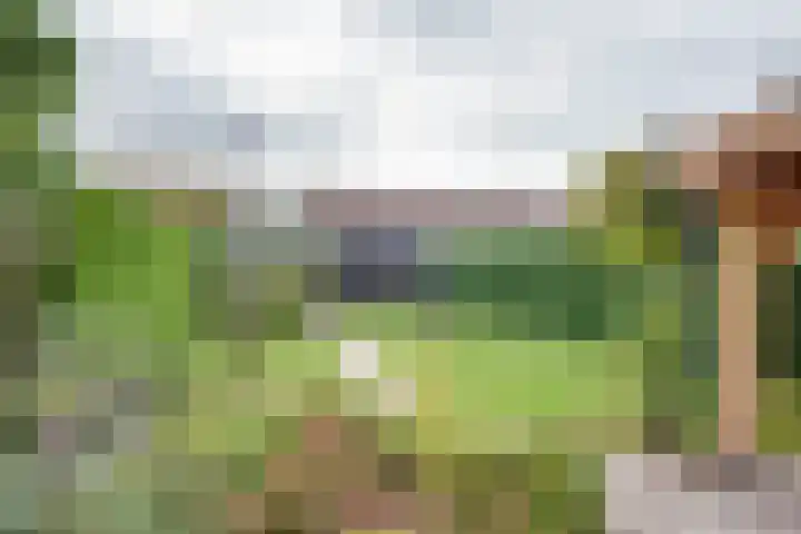 Schaapsdreef 4 Den Bommel thumbnail 4