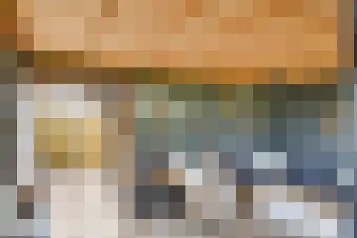 Schaapsdreef 4 Den Bommel thumbnail 40