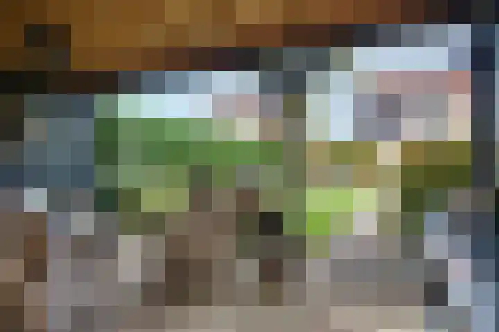 Schaapsdreef 4 Den Bommel thumbnail 42