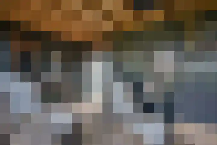 Schaapsdreef 4 Den Bommel thumbnail 45