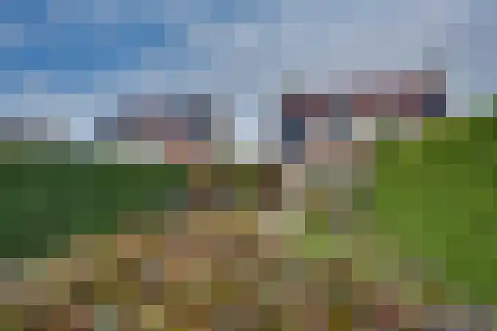Schaapsdreef 4 Den Bommel thumbnail 48