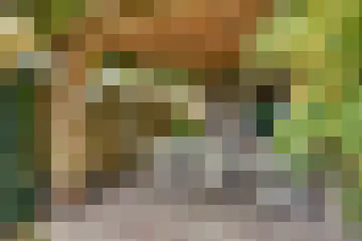Schaapsdreef 4 Den Bommel thumbnail 49