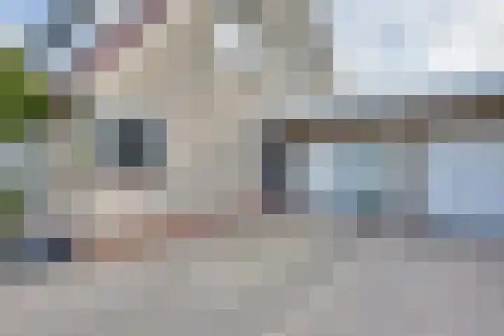 Schaapsdreef 4 Den Bommel thumbnail 6