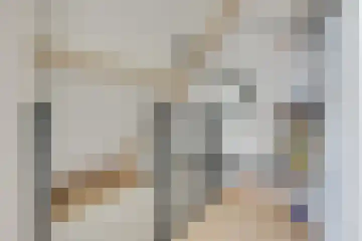 Schaapsdreef 4 Den Bommel thumbnail 60