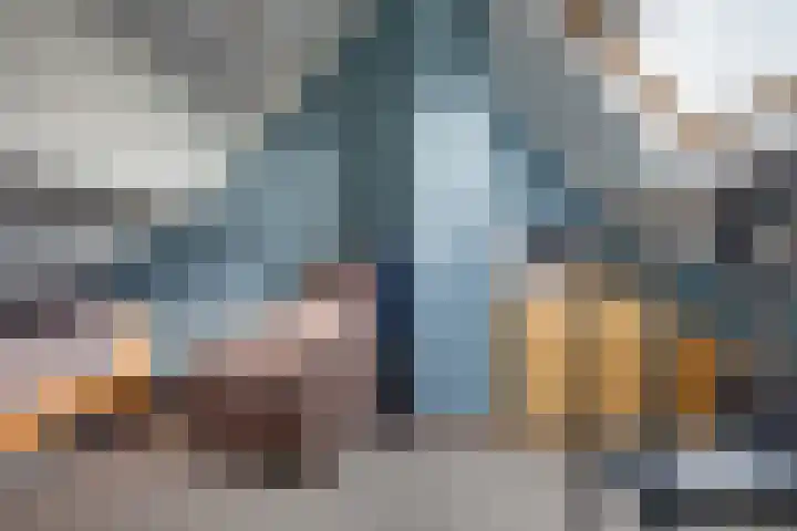 Schaapsdreef 4 Den Bommel thumbnail 61