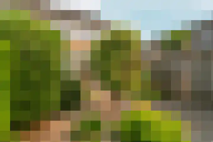 Schaapsdrift 13 Zevenaar thumbnail 37
