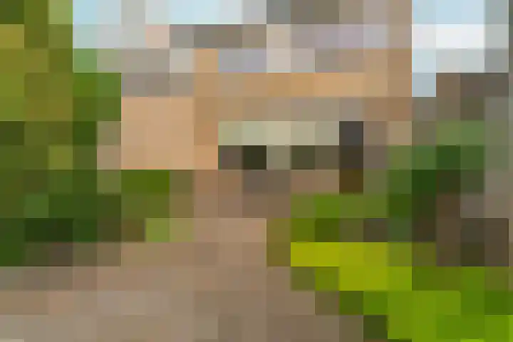 Schaapsdrift 13 Zevenaar thumbnail 42