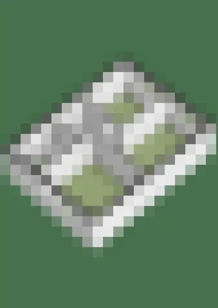 Schaapsdrift 13 Zevenaar thumbnail 53
