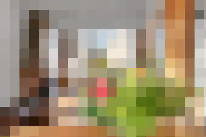 Schaapsdrift 191 Zevenaar thumbnail 10