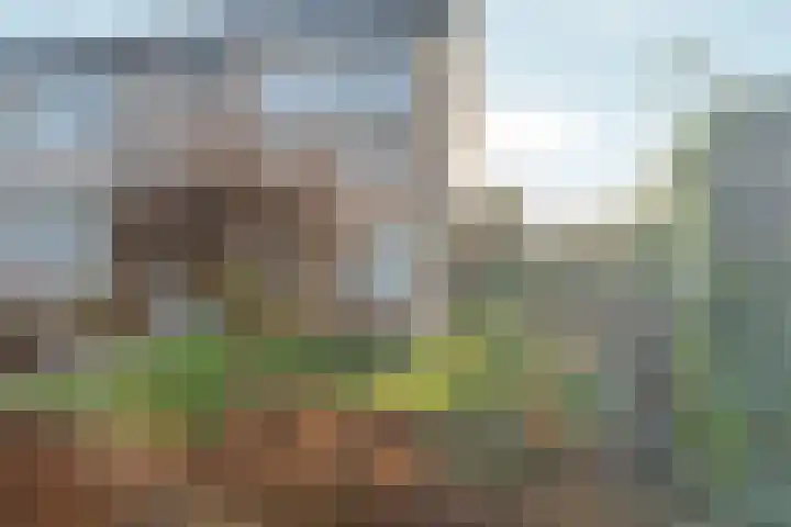 Schaapsdrift 191 Zevenaar thumbnail 36