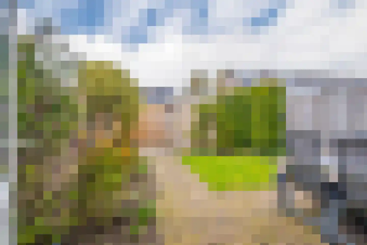Schaapsdrift 207 Zevenaar thumbnail 20