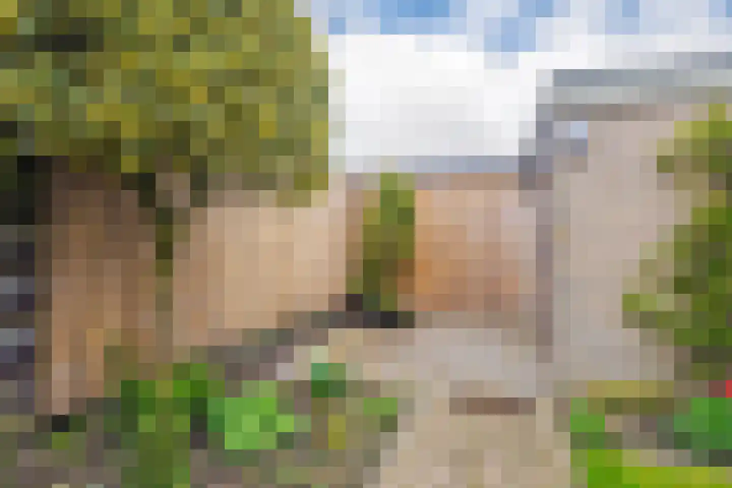 Schaapsdrift 207 Zevenaar thumbnail 23