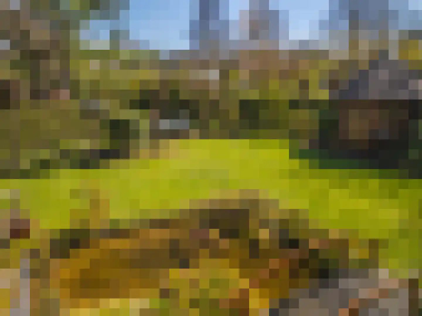 Schaapsdrift 275 Zevenaar thumbnail 20