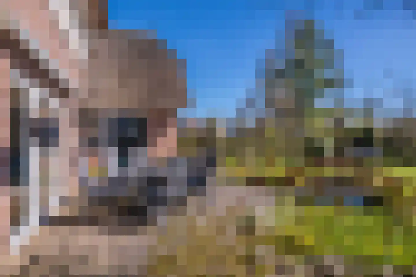 Schaapsdrift 275 Zevenaar thumbnail 22