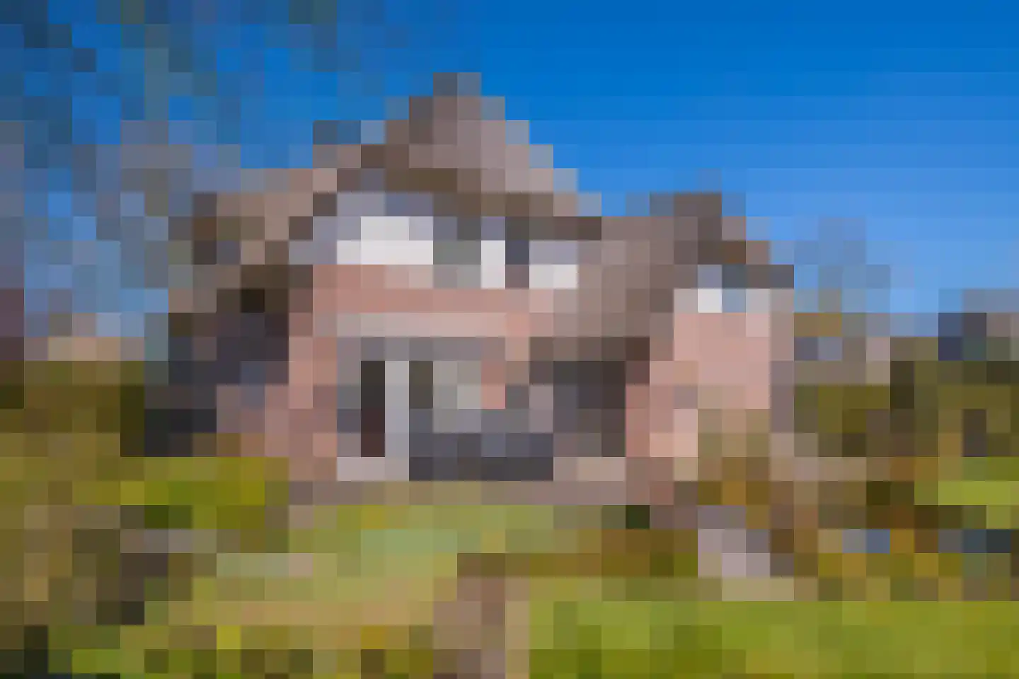 Schaapsdrift 275 Zevenaar thumbnail 23