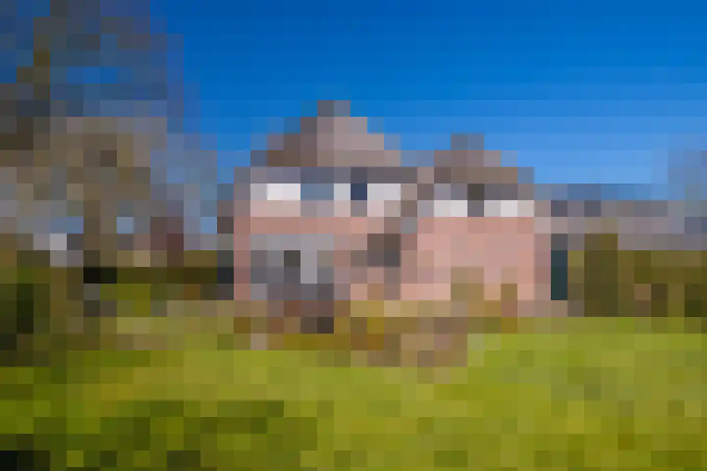 Schaapsdrift 275 Zevenaar thumbnail 24