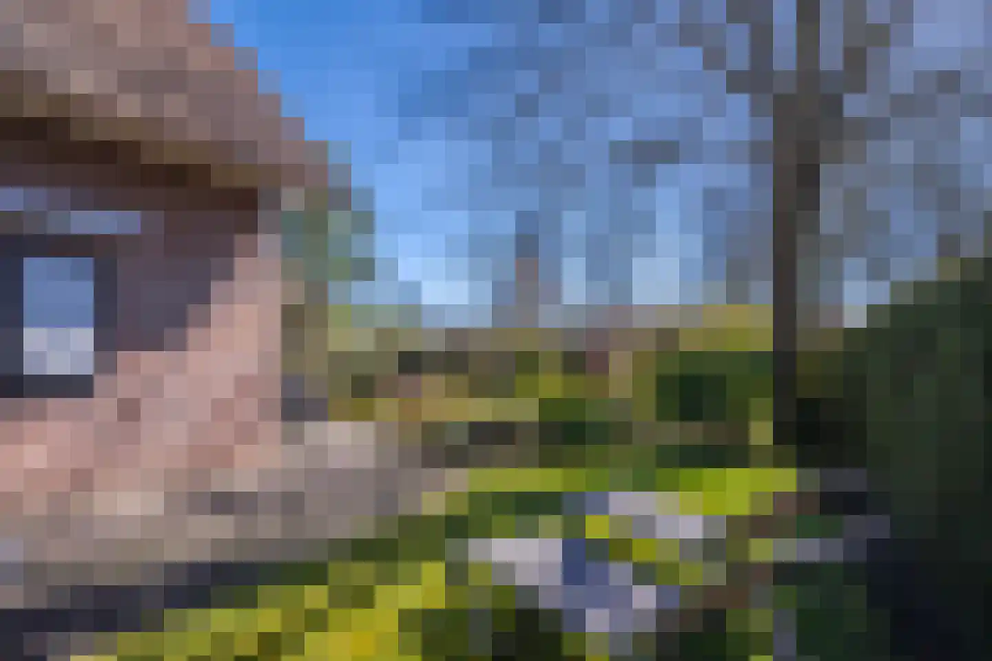 Schaapsdrift 275 Zevenaar thumbnail 30