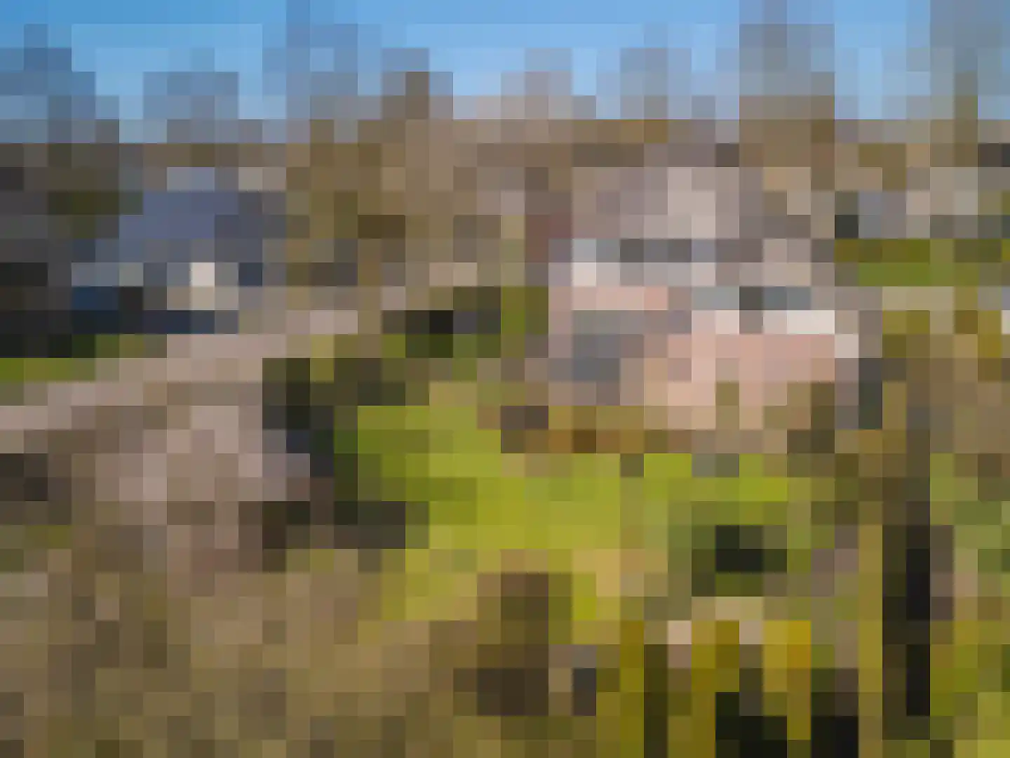 Schaapsdrift 275 Zevenaar thumbnail 48