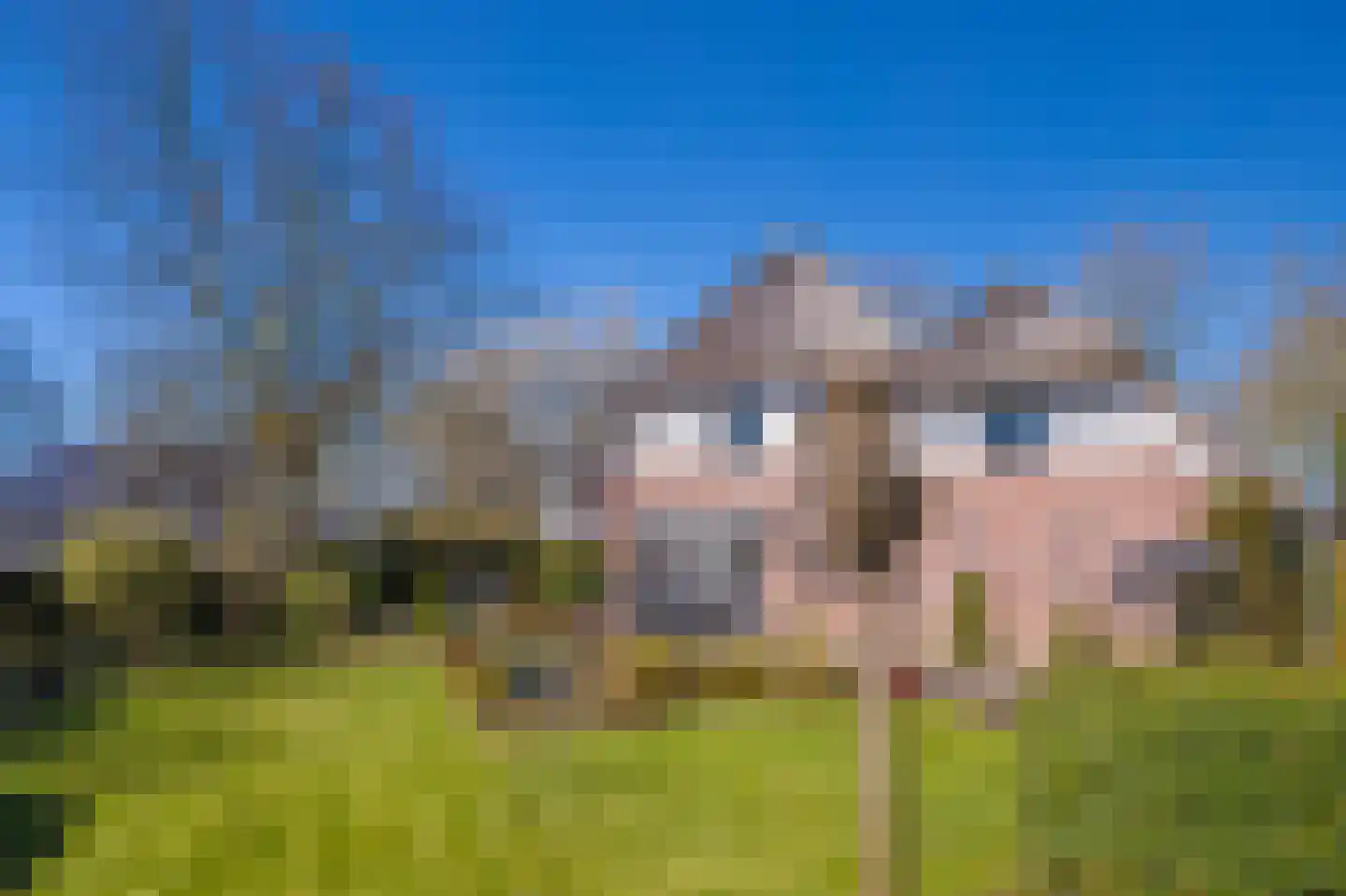 Schaapsdrift 275 Zevenaar thumbnail 5
