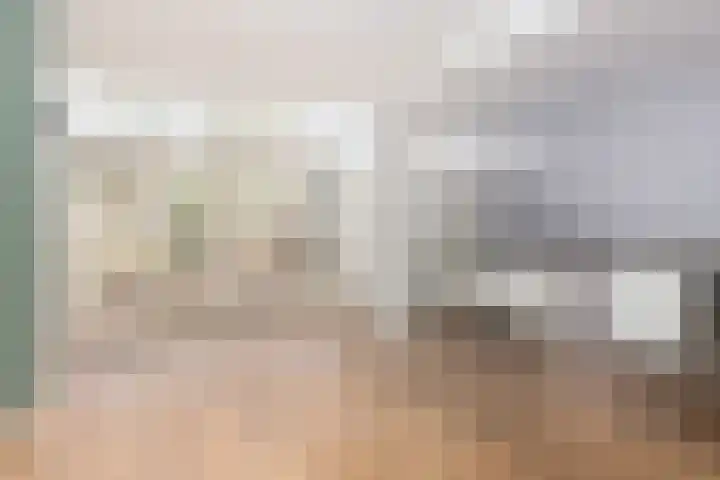 Schaapsdrift 3 Arnhem thumbnail 11