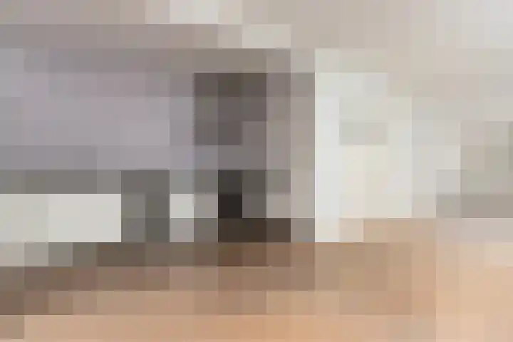Schaapsdrift 3 Arnhem thumbnail 14