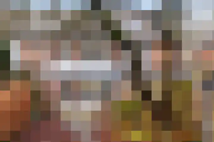 Schaapsdrift 3 Arnhem thumbnail 17