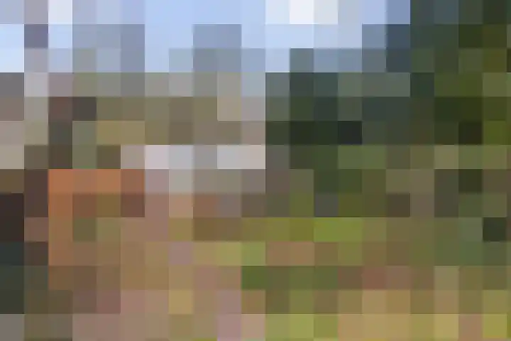 Schaapsdrift 3 Arnhem thumbnail 18