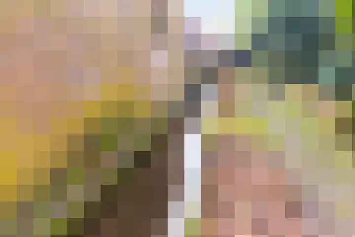 Schaapsdrift 3 Arnhem thumbnail 19