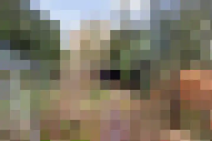 Schaapsdrift 3 Arnhem thumbnail 20