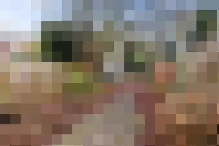Schaapsdrift 3 Arnhem thumbnail 21