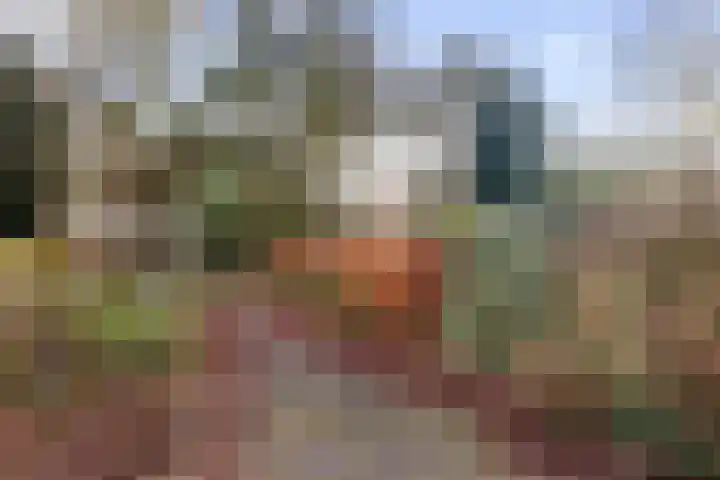 Schaapsdrift 3 Arnhem thumbnail 22