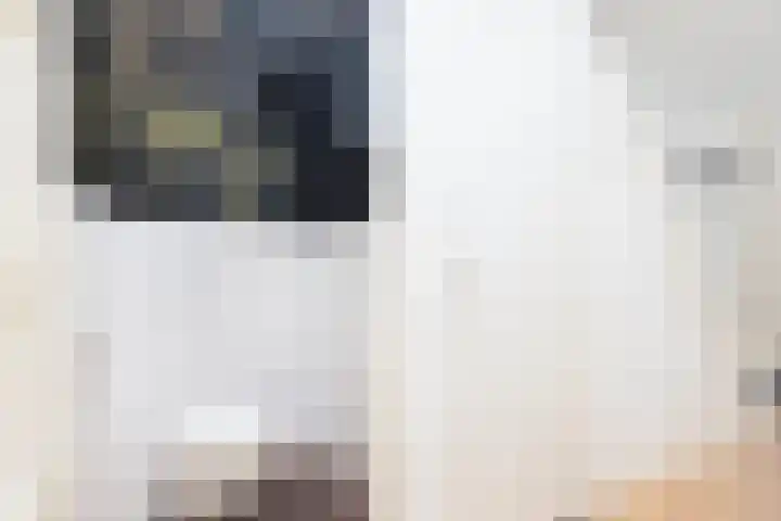 Schaapsdrift 3 Arnhem thumbnail 7